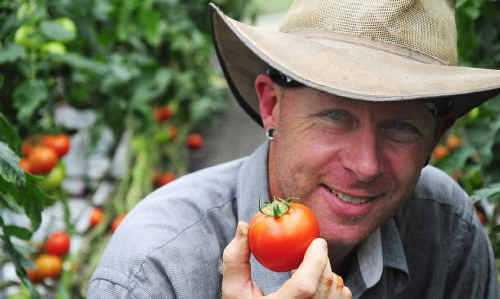 Tomato grower Troy Bromley in the Bromley family’s Nana Glen shade houses with Tradiro variety truss tomatoes ready for Coffs Coast Growers Market. Tomato grower Troy Bromley in the Bromley family’s Nana Glen shade houses with Tradiro variety truss tomatoes ready for Coffs Coast Growers Market.